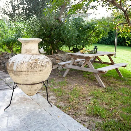 The Garden