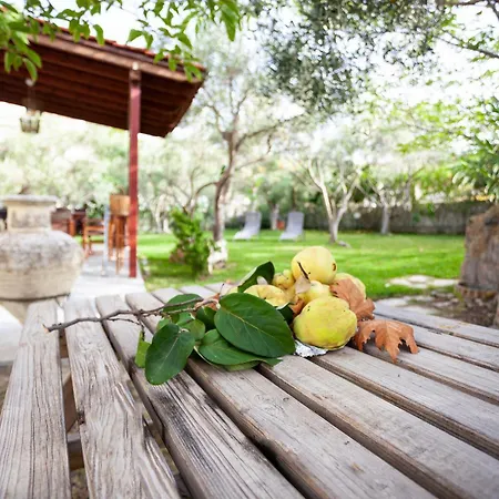 The Garden Villa *