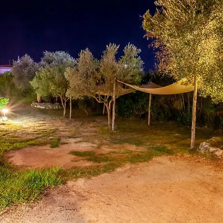 The Garden *