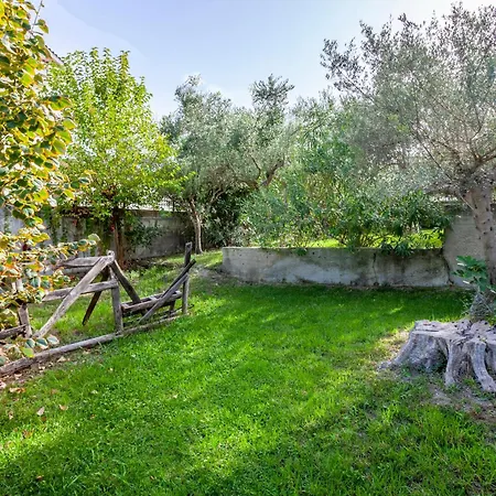 The Garden