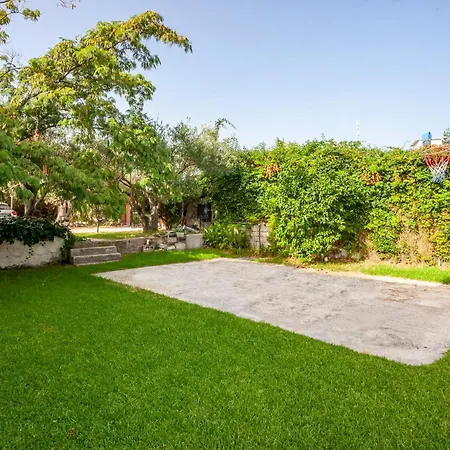 The Garden *