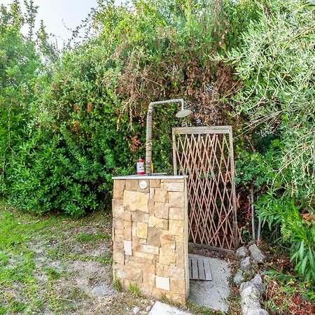 The Garden