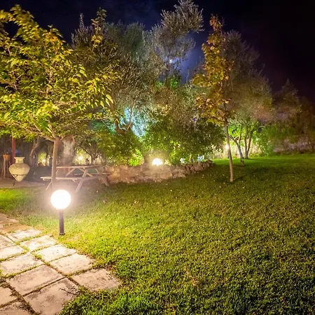 The Garden