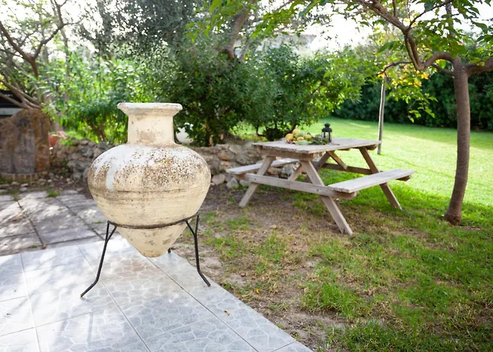 The Garden