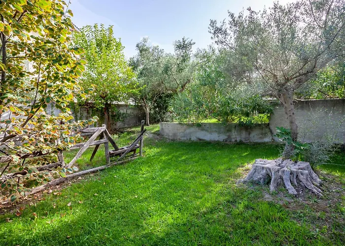 The Garden