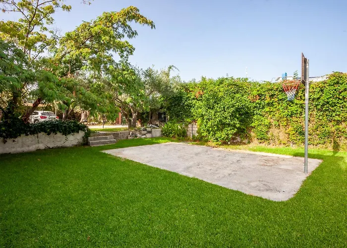 The Garden *