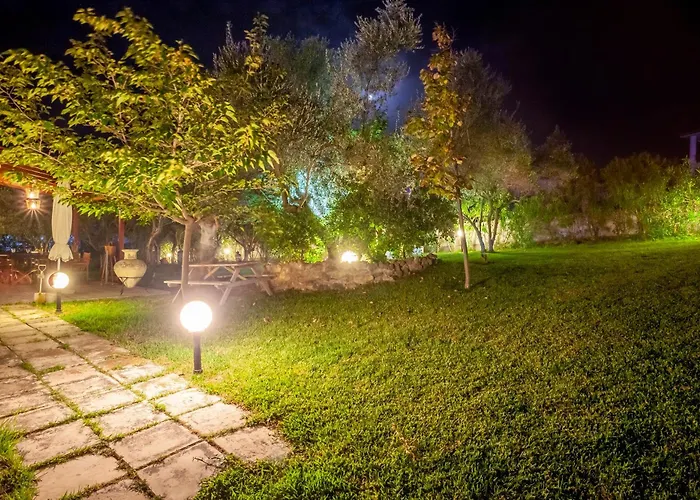 The Garden